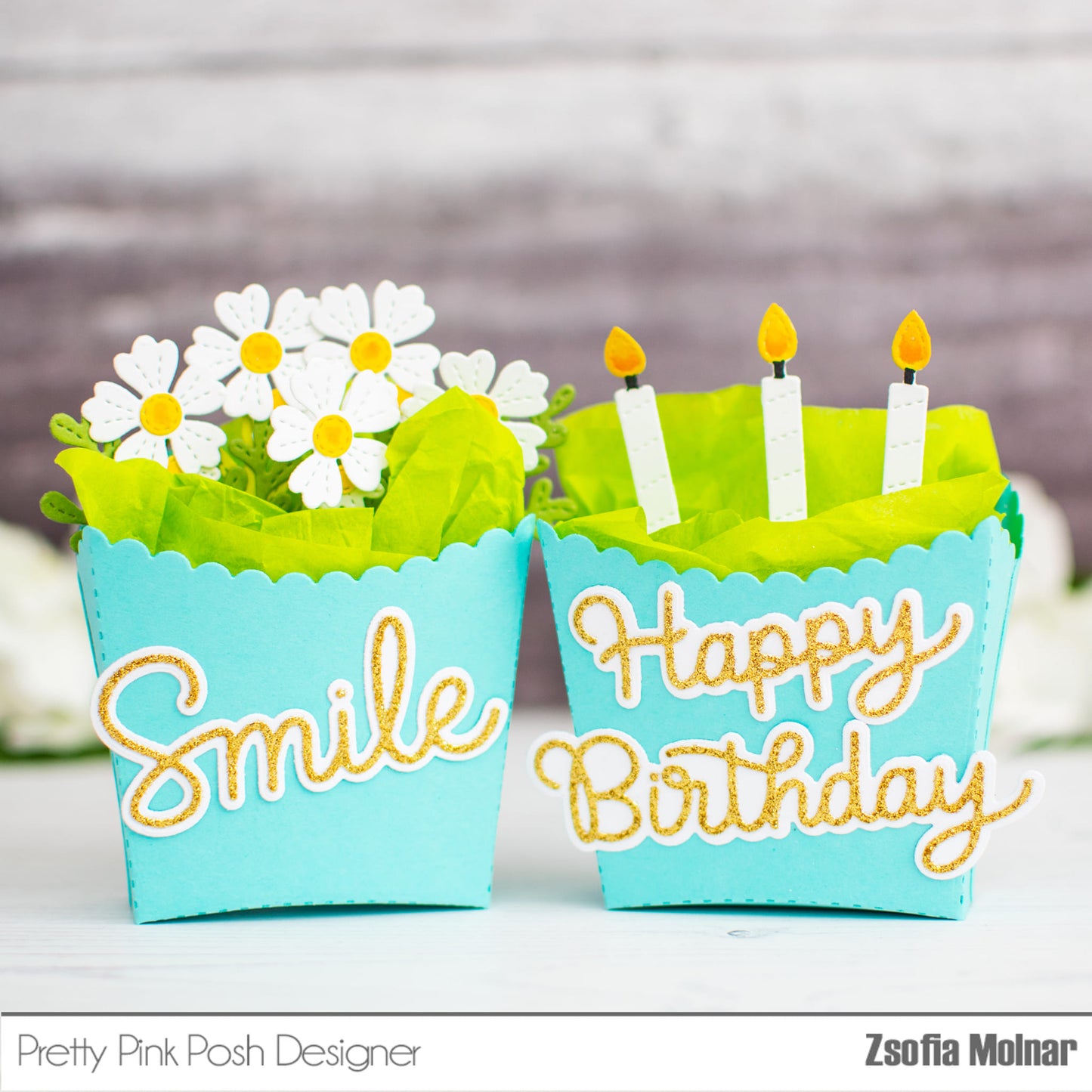Birthday Treat Box Die