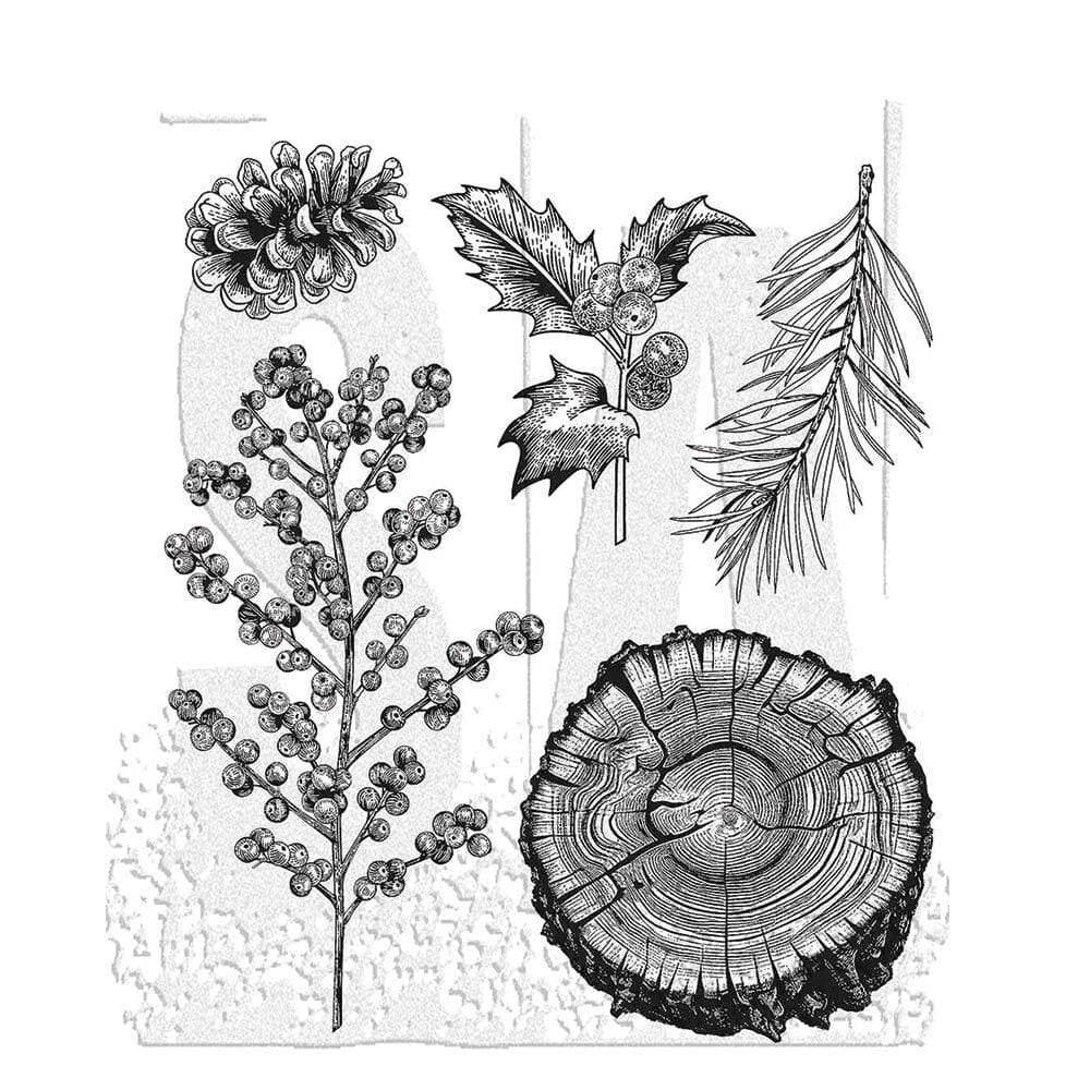 Forest Floor 2 Stamp Set