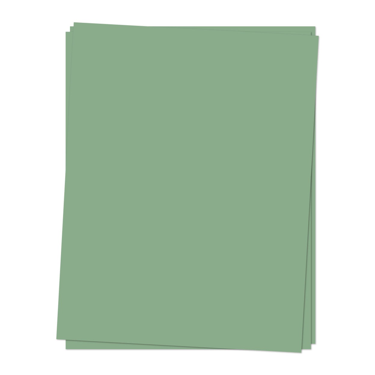 8.5 x 11 Cardstock: Eucalyptus