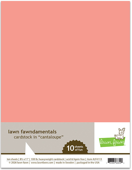 8.5 x 11 Cardstock - Cantaloupe