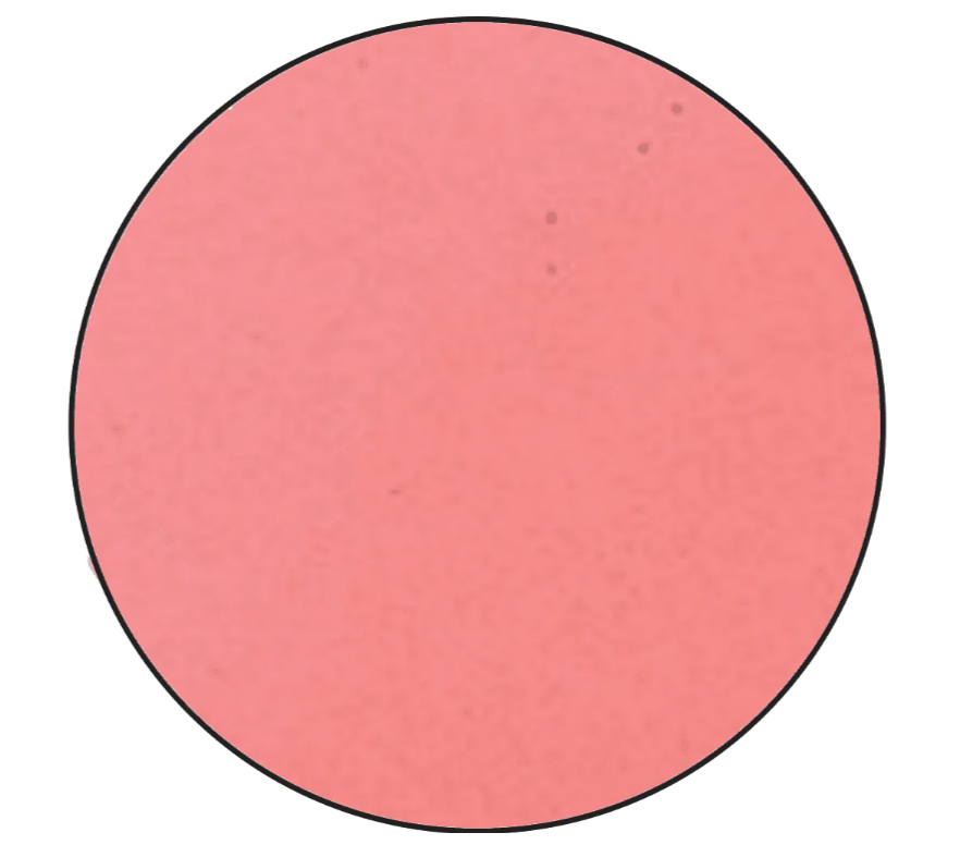 Embossing Powder Pink