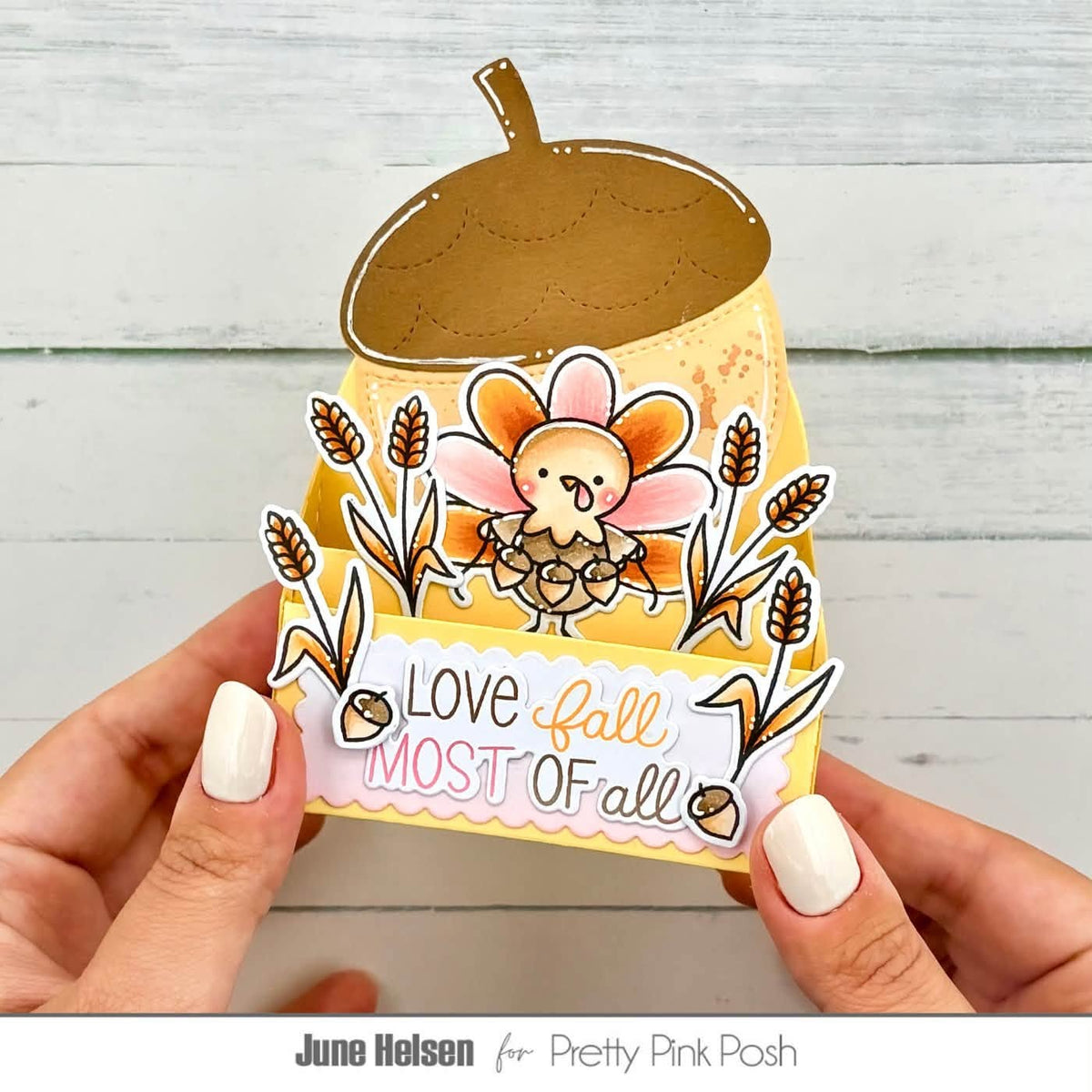 Turkey Friends Stamp Set