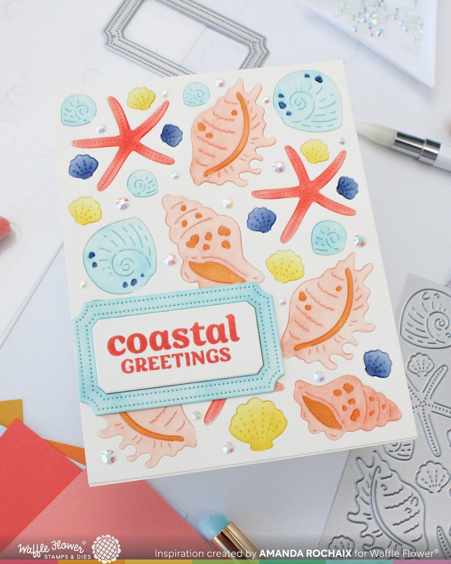 Seashell Coloring Stencils