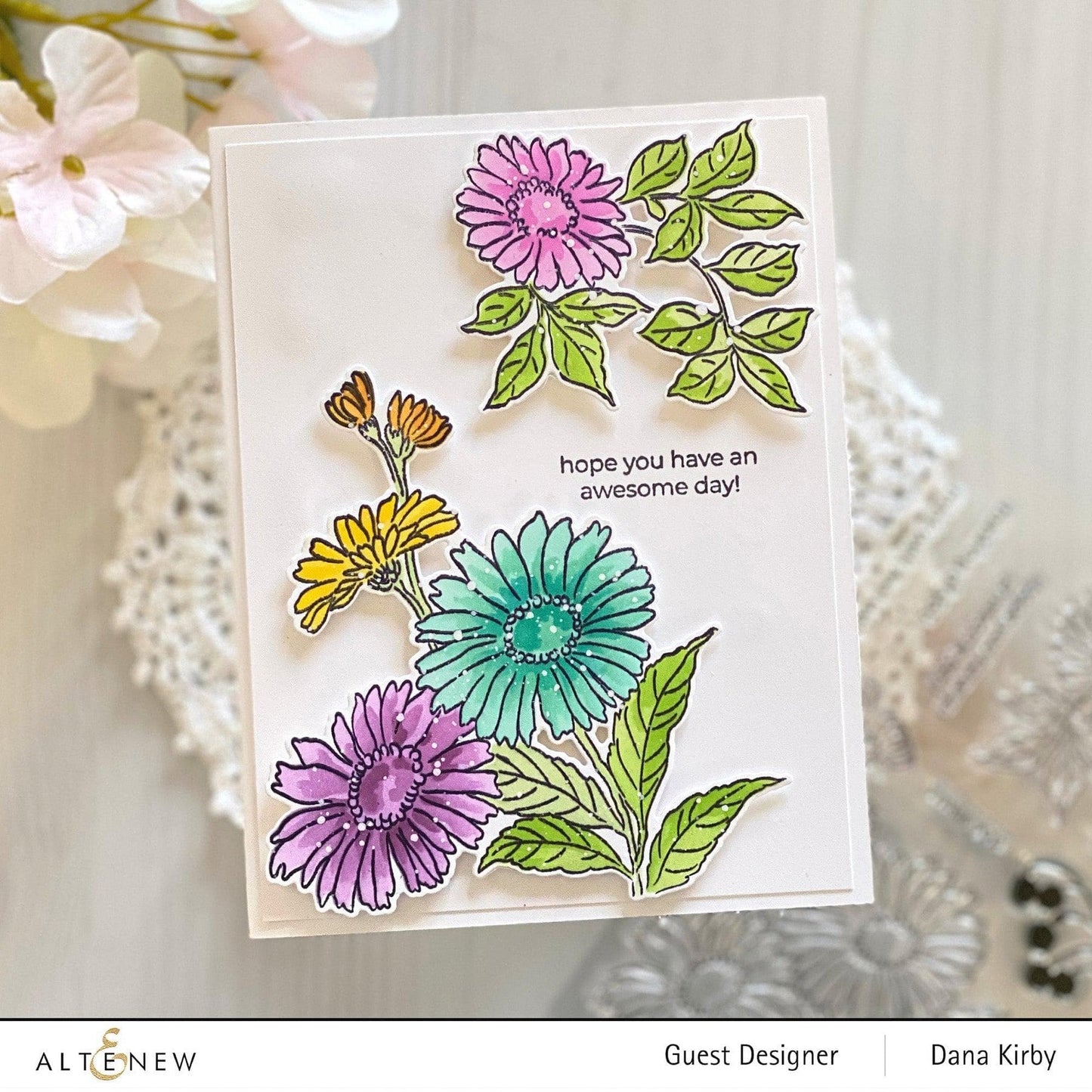 Build-A-Garden: Morning Asters Bundle