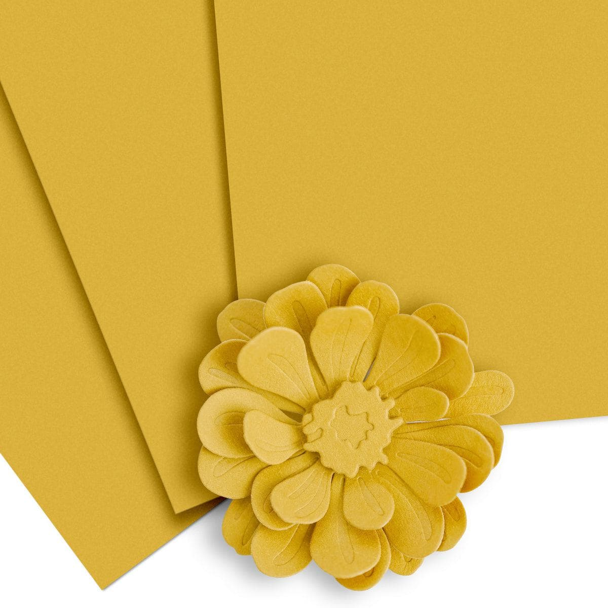 Crafty Necessities 8.5 x 11 Cardstock: Honey Drizzle