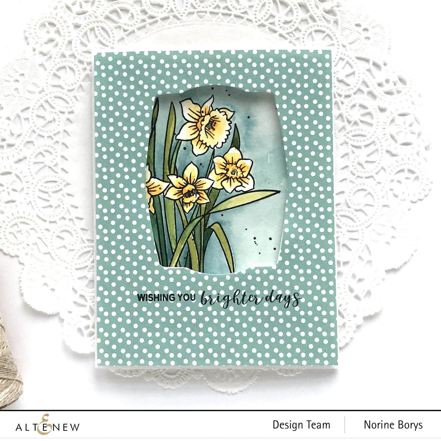 Paint-A-Flower: Daffodil Outline Stamp Set