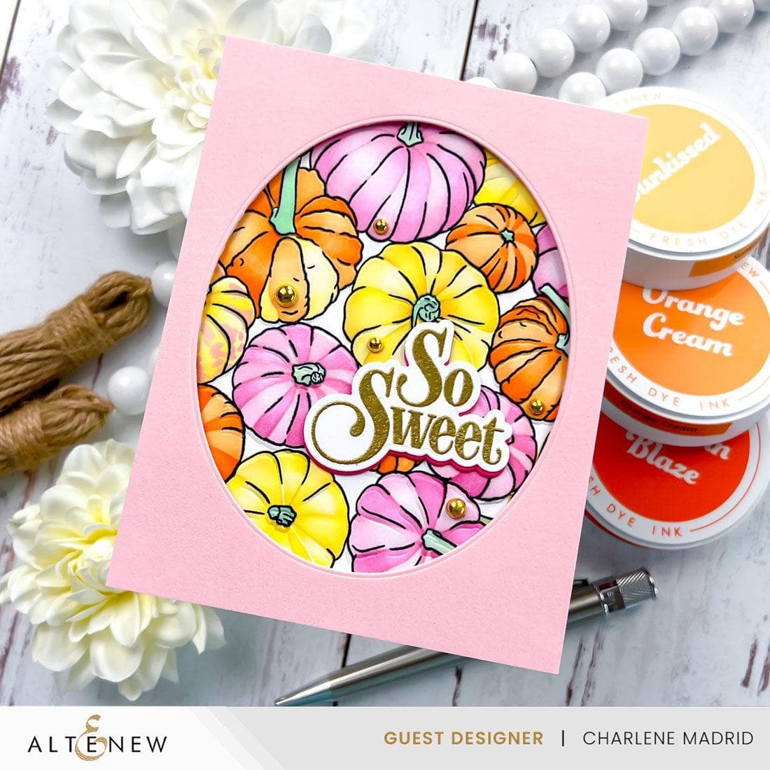 Pumpkin Patch Stamp Set