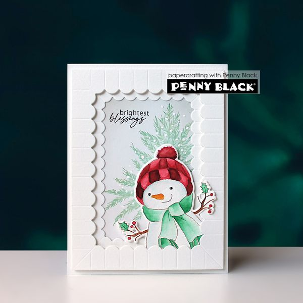 Frosty Feathers Stamp Set