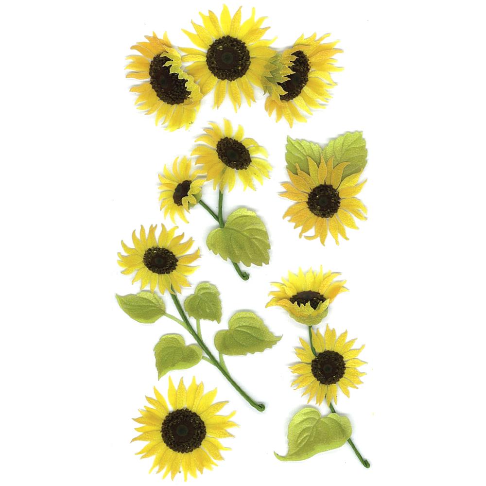 Stickles sunflower 