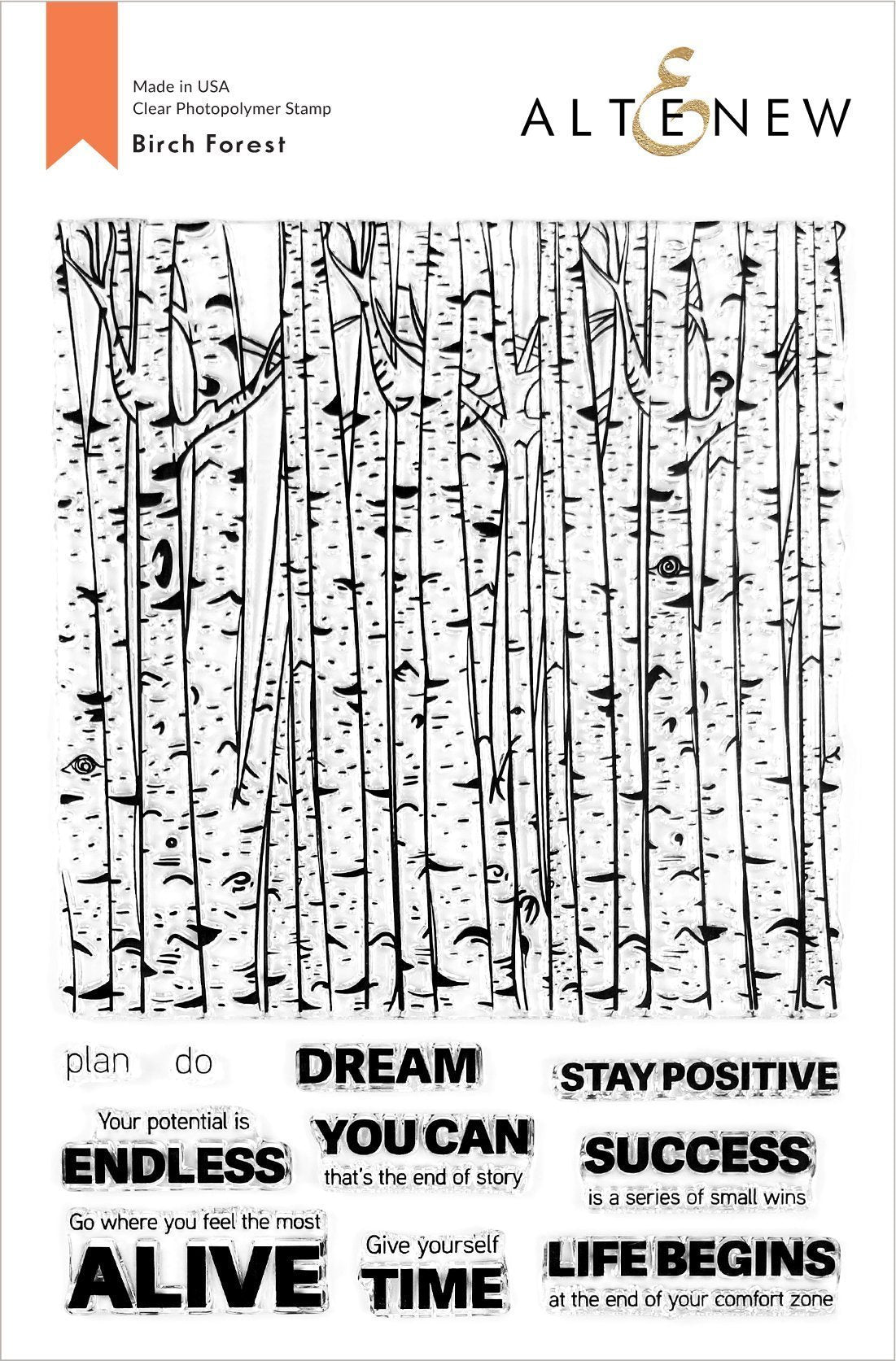 Birch Forest Stamp Set