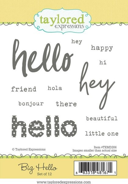 Big Hello Stamp Set