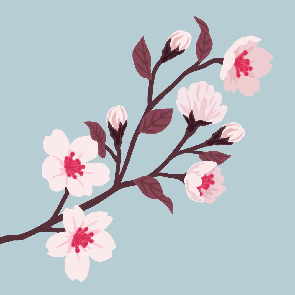 Lovely Layers: Cherry Blossom Honey Cuts