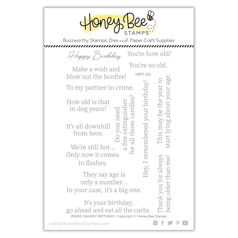 Inside: Snarky Birthday Sentiments Stamp Set