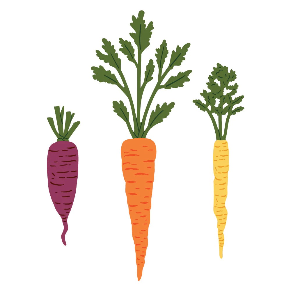 Lovely Layers: Carrots Honey Cuts