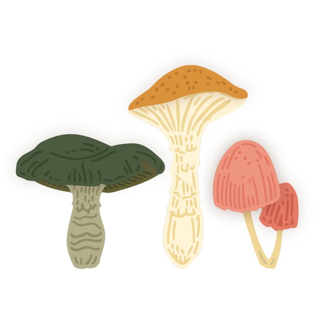 Lovely Layers: Mushroom Honey Cuts