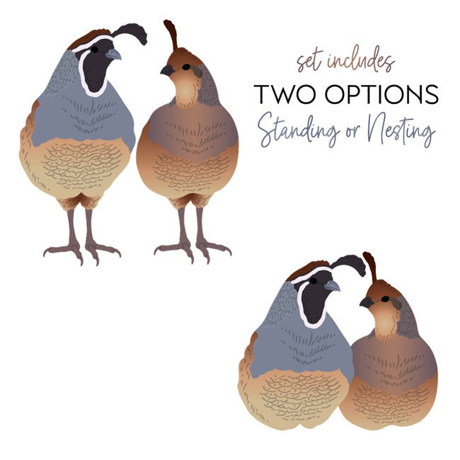 Lovely Layers: Quails Honey Cuts