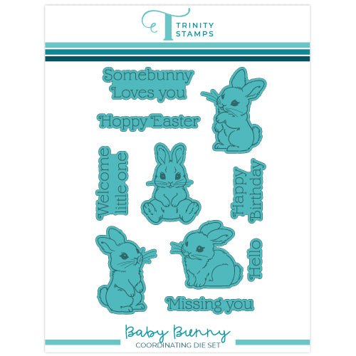 Baby Bunny Dies