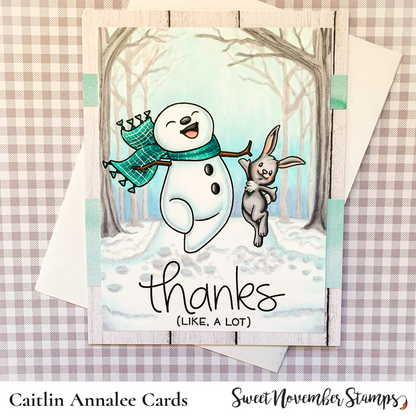 Frosty Feet Stamp Set