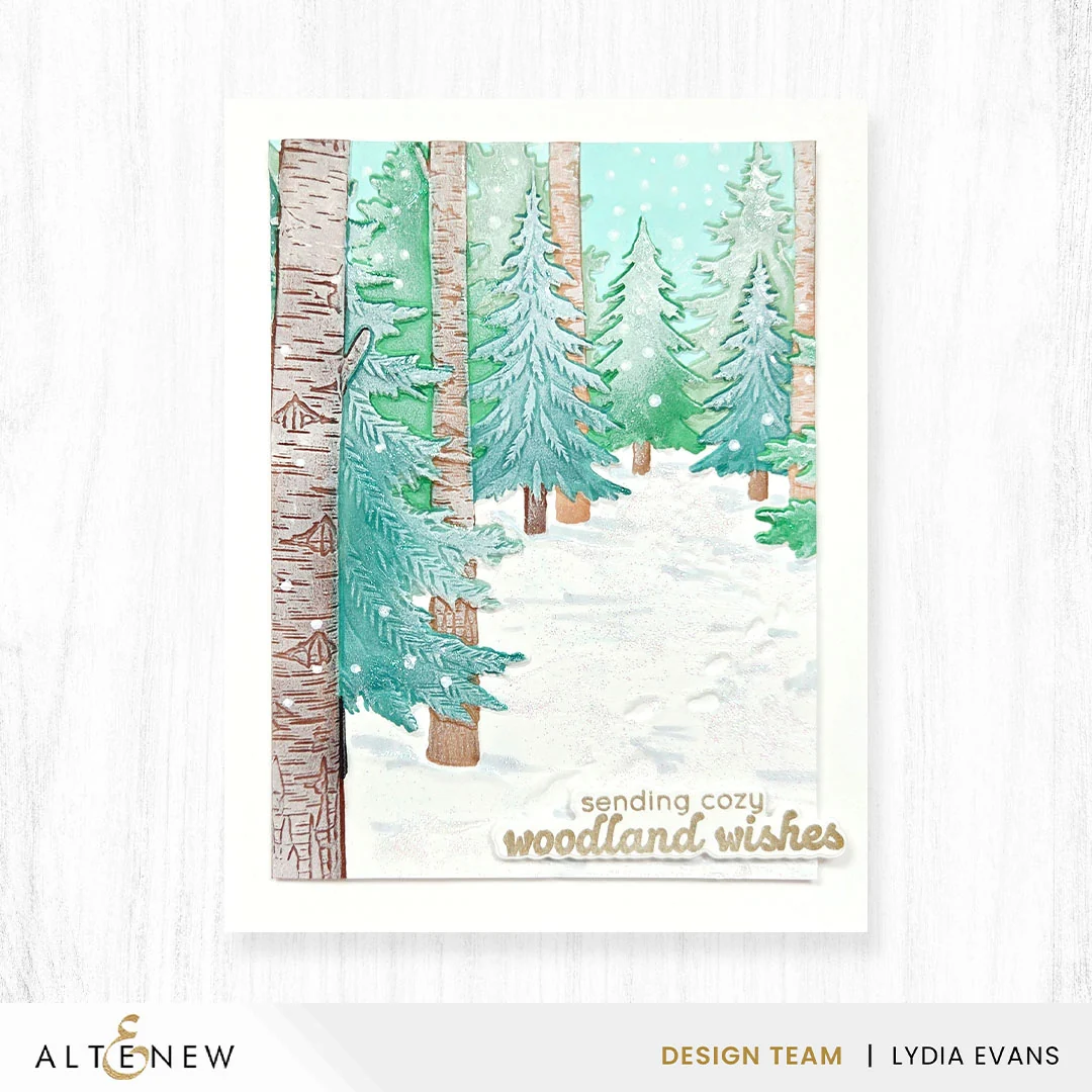 Snowy Footpath 3D Embossing Folder 