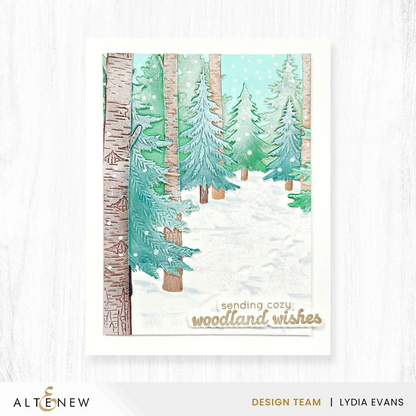 Snowy Footpath 3D Embossing Folder 