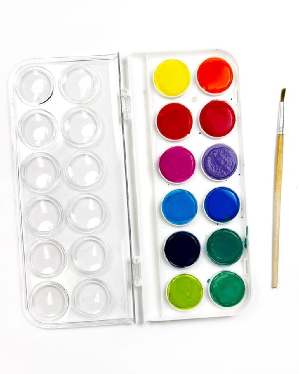 Fernwood Brights Watercolor Set