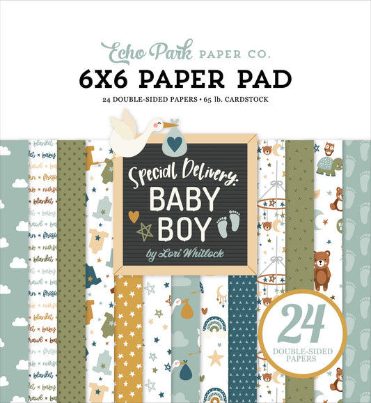 Special Delivery Baby Boy 6x6 Paper Pad