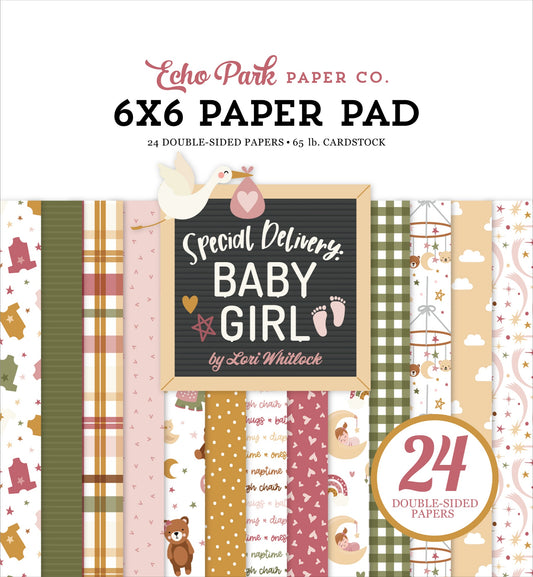 Special Delivery Baby Girl 6x6 Paper Pad