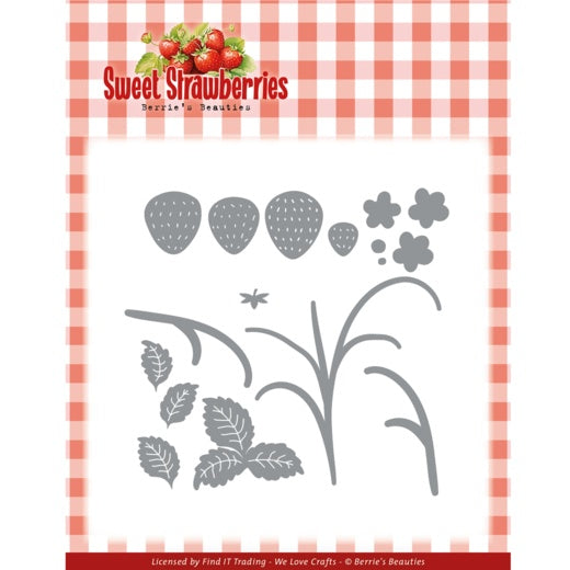 Sweet Strawberries Strawberry Plant Dies