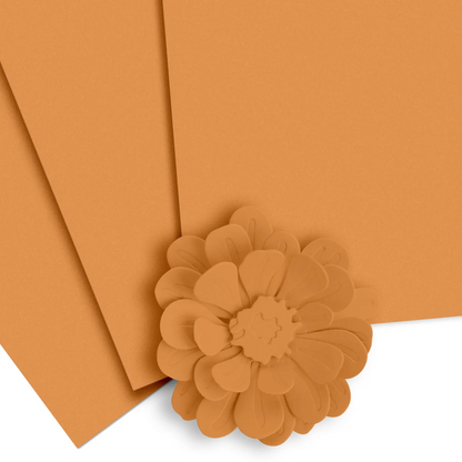 Crafty Necessities 8.5x11 Cardstock: Pumpkin Pie