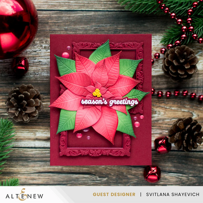 Decorative Frames 3D Embossing Folder & Dies