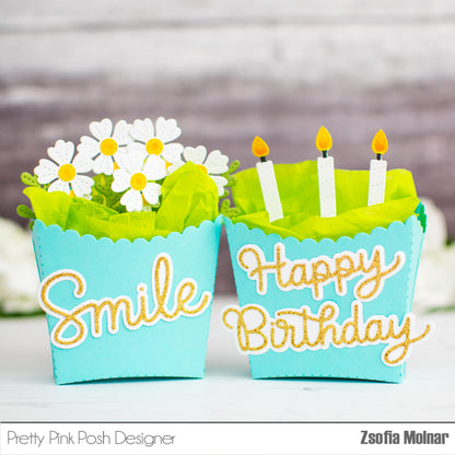 Birthday Treat Box Die