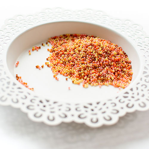 Blush Harvest Shaker Beads
