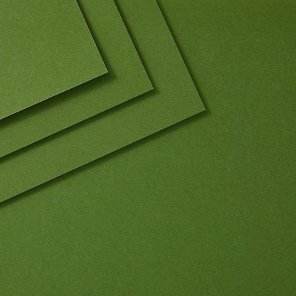 Fern ColorWheel 8.5 x 11 Cardstock