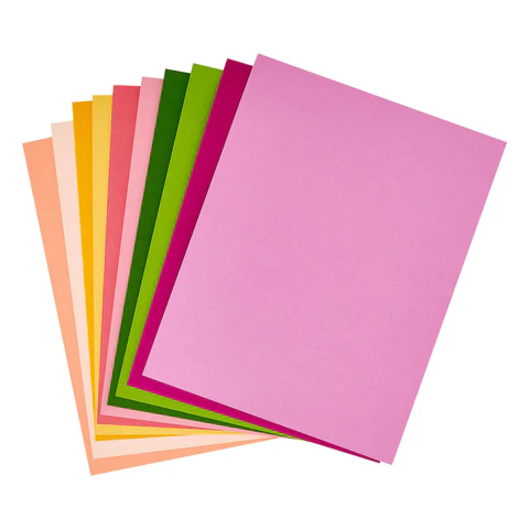 Blooms Assortment ColorWheel 8.5x11 Cardstock