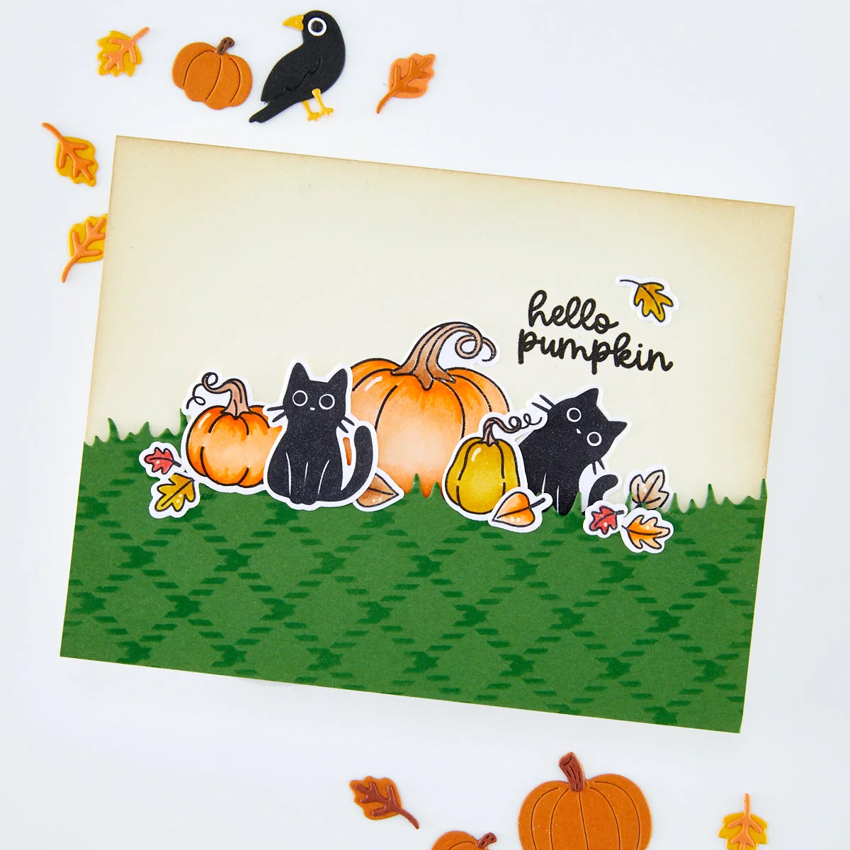 Hide and Peek Stamp & Cut 