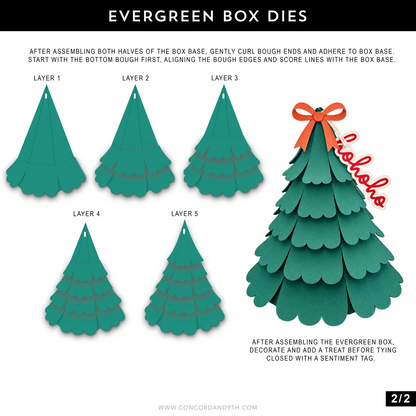 Evergreen Box Dies
