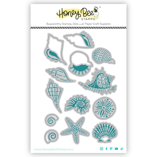 Lovely Layers: Small Seashells Honey Cut