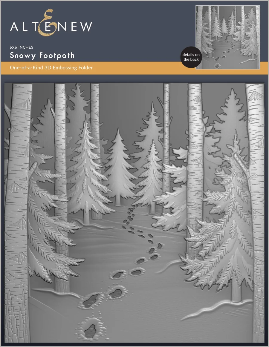 Snowy Footpath 3D Embossing Folder 