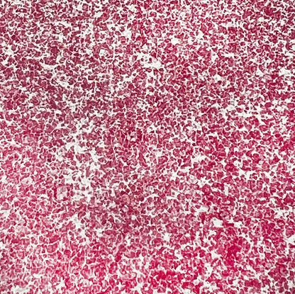 Peppermint Swirl Embossing Powder