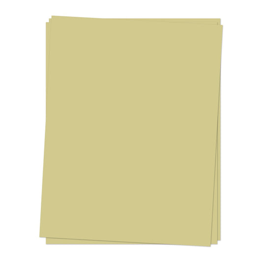 8.5 x 11 Cardstock: Pistachio