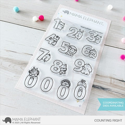 Counting Right Stamp Set