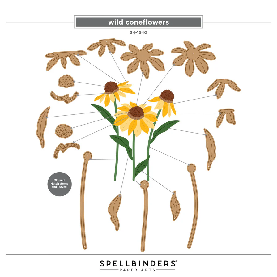 Wild Coneflowers Etched Dies