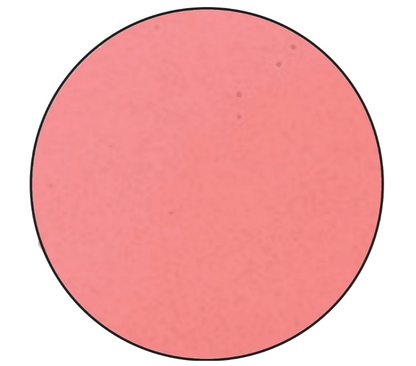 Embossing Powder Pink