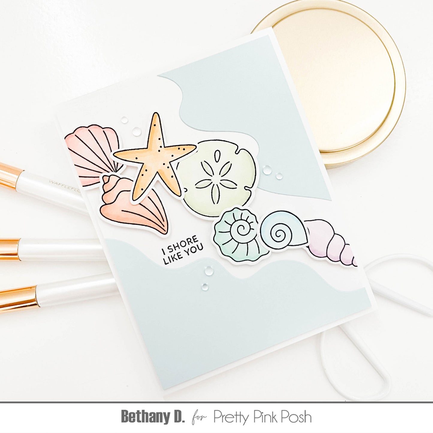 Seashells Stamp Set