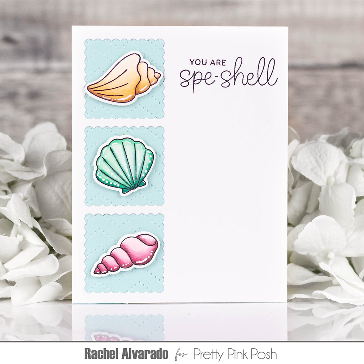 Seashells Stamp Set