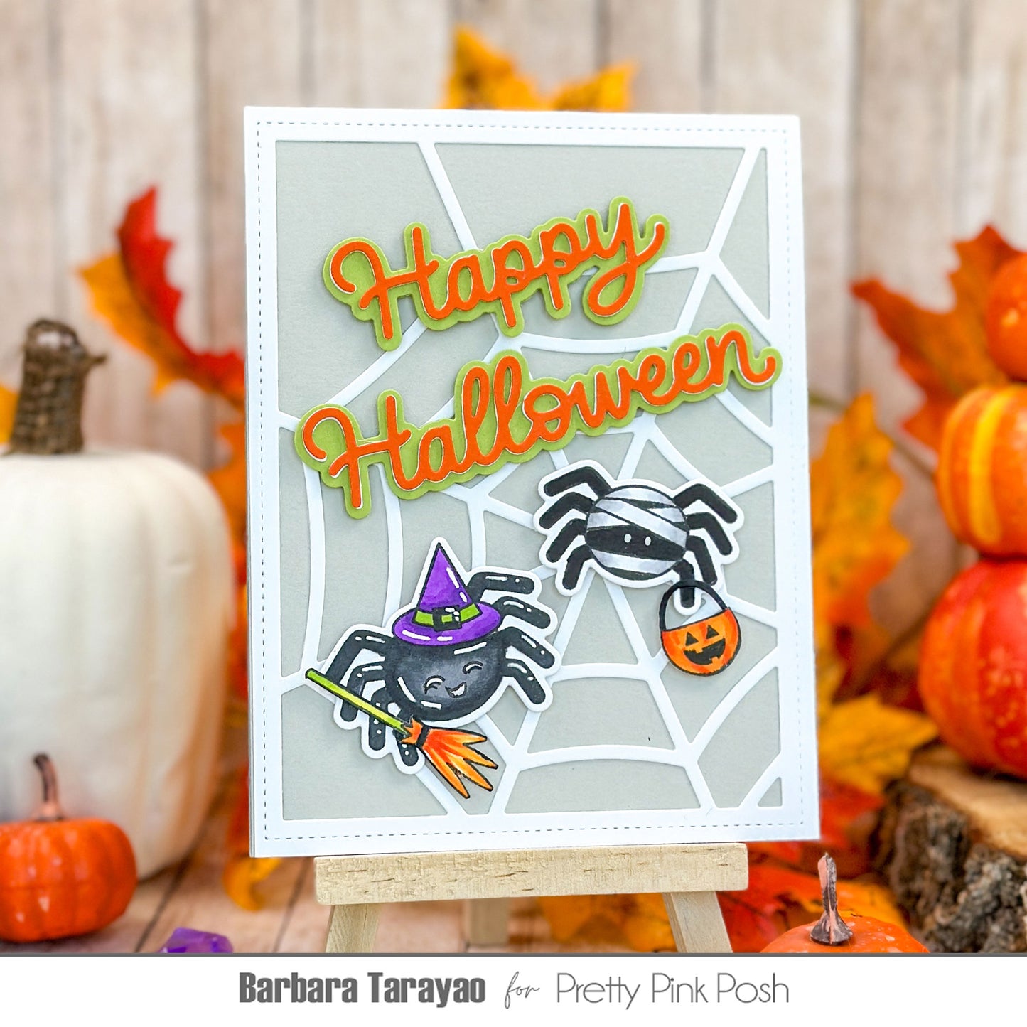 Spider Friends Stamp Set
