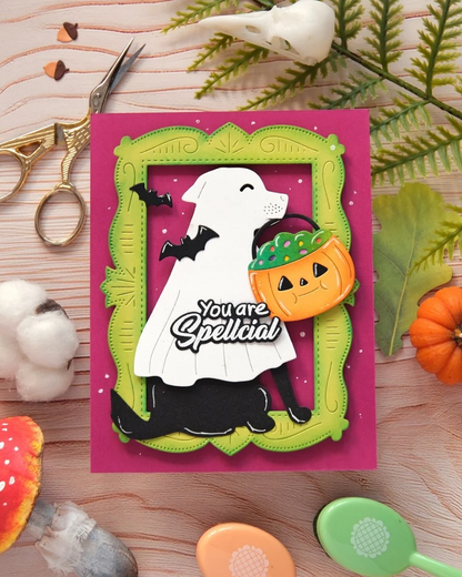 Spellcial Sentiments Stamp & Dies 