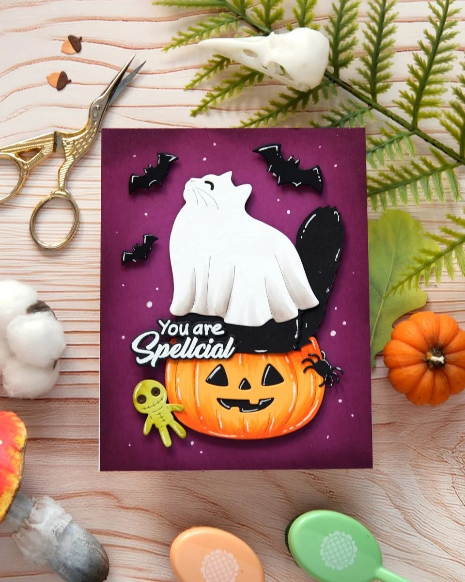 Spellcial Sentiments Stamp & Dies 