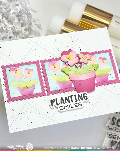Pots and Plants Die 