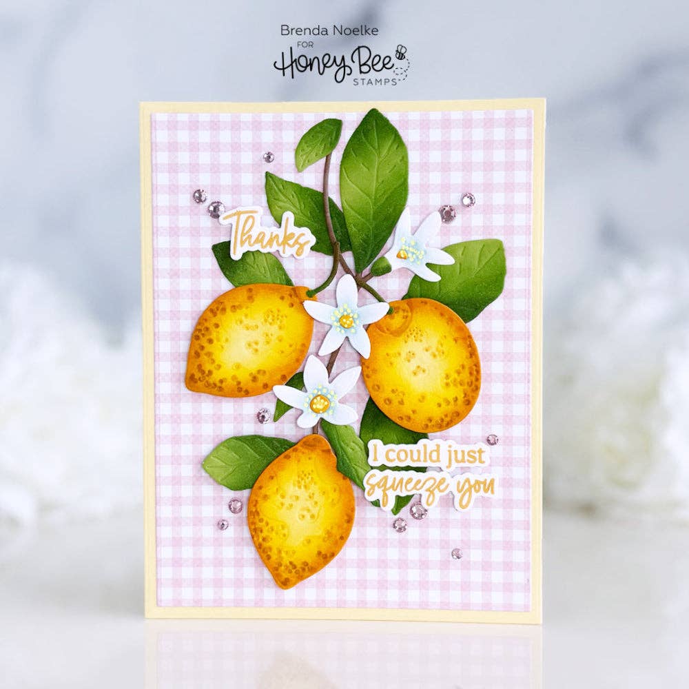 Berry Sweet Summer Stamp Set